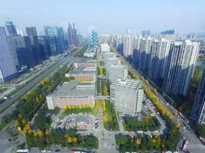 成都最強科技大腦地圖