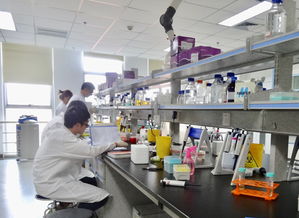 成都高新區(qū)力促生物科技創(chuàng)新實現(xiàn) 并跑 和 領跑