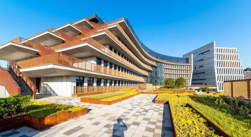 成都市最美科技工作者,天府新區是他們