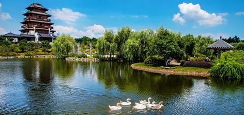 心動之旅！僅99元，12月3日韶山、花明樓純玩一日游，開啟紅色文化體驗